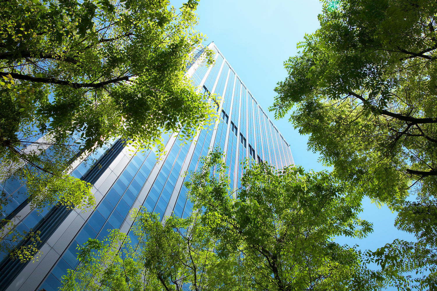 Inkana sustainability — responsible materials